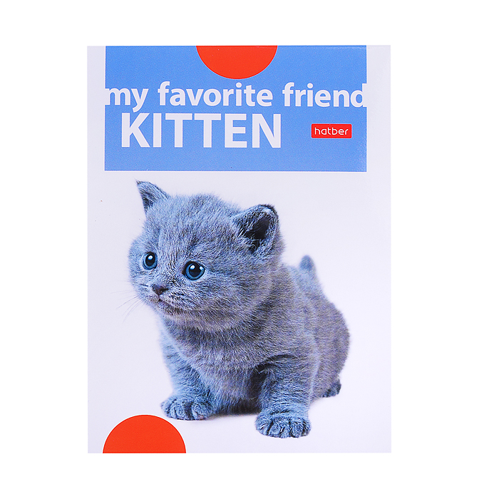 Набор школьно-письменных принадлежностей "Учись с удовольствием. МимиЛапки" в подарочн. кор.