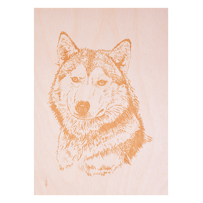 Выжигание. Набор для выжигания по дереву "Горыныч" (прибор + 10 досок)