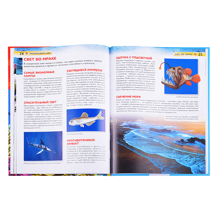 Детская энциклопедия. Подводный мир. 