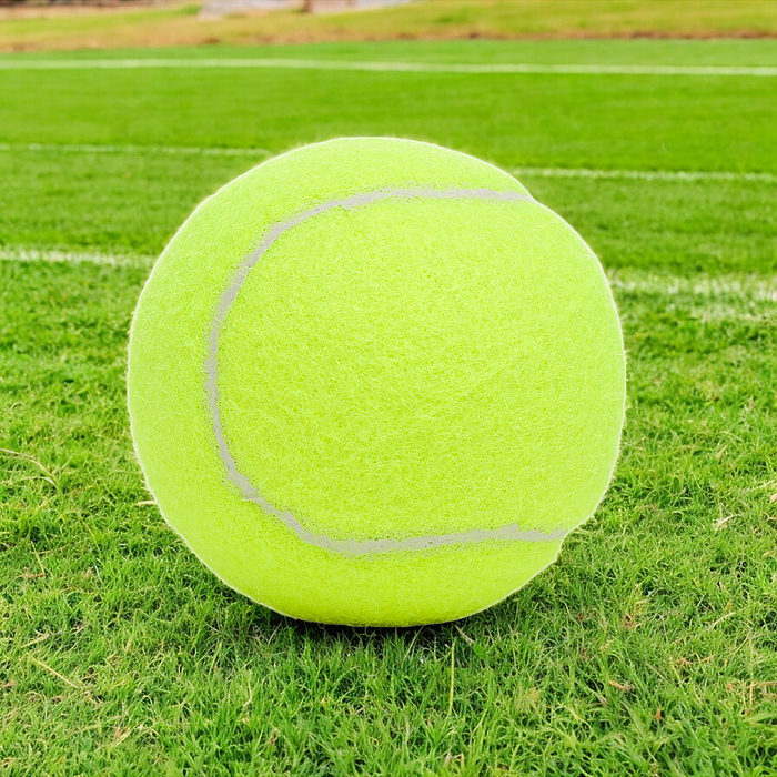 Набор мячей для большого тенниса 00-6074 (12 шт.) в сумке