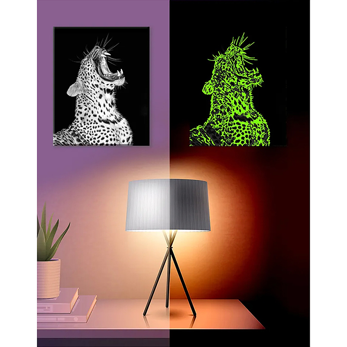 Картина по номерам со светящейся краской 30х40 "Бархатный оскал" (8 цветов)