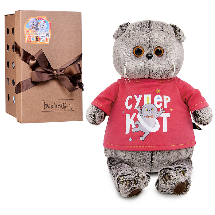 Кот Басик в лонгсливе с принтом "Супер кот"