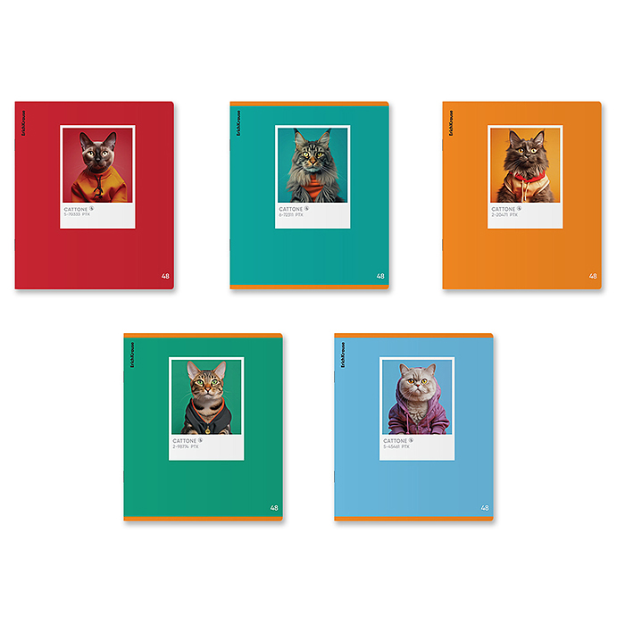 Тетрадь 48 л. клетка, CatTone