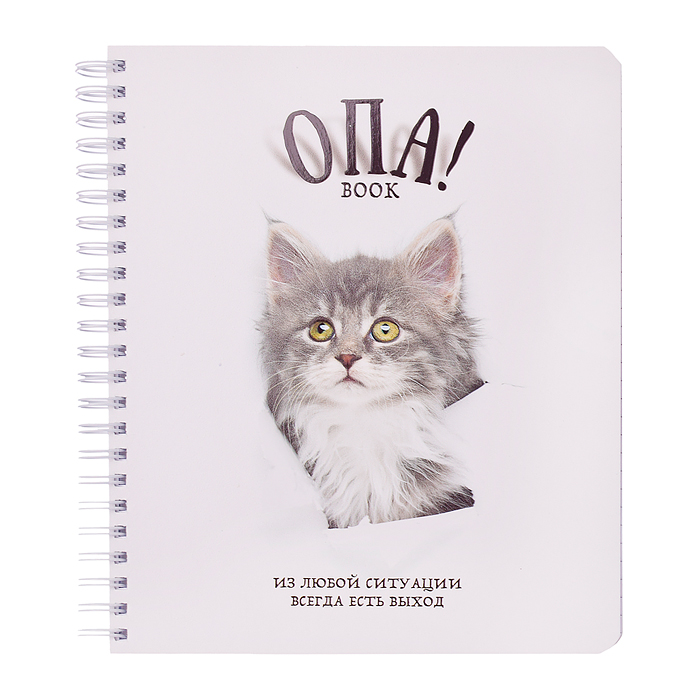 Фото к товару Тетрадь 96л. клетка/линия, А5 "Перевертыш Опа!" гребень Тетрадь 96л. клетка/линия, А5 "Перевертыш Опа!" гребень