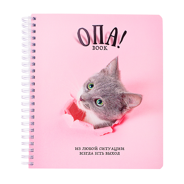 Фото к товару Тетрадь 96л. клетка/линия, А5 "Перевертыш Опа!" гребень Тетрадь 96л. клетка/линия, А5 "Перевертыш Опа!" гребень