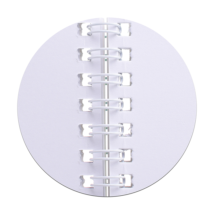 Альбом для рисования 40 л, А4 "Фиксики" на спирали, мелованная обложка 235 гр/