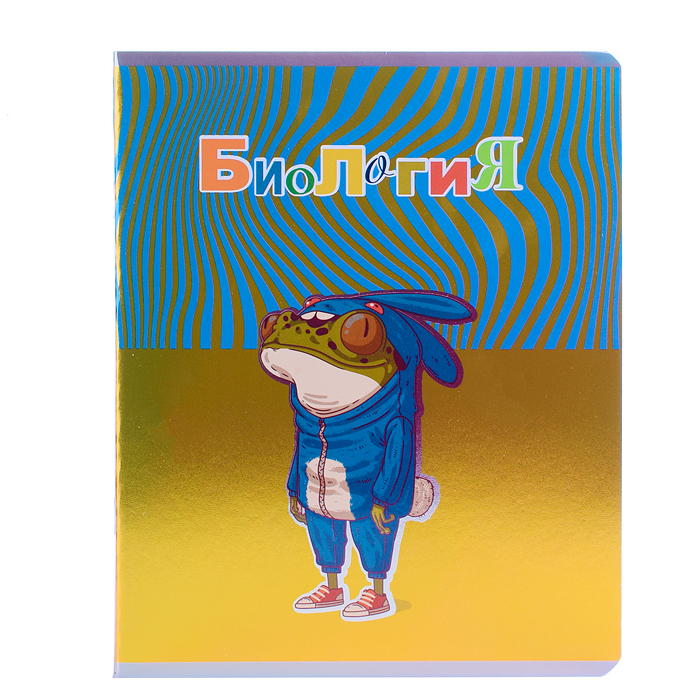 Комплект предметных тетрадей Тетрадь 48л "Лягушкина жизнь" 10 предметов 