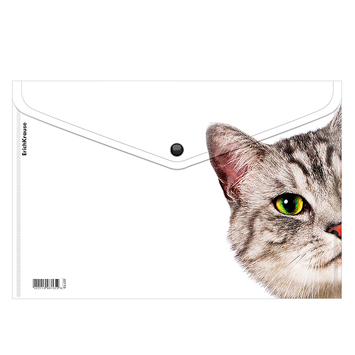 Папка-конверт на кнопке пластиковая Hiding Cats, A4, ассорти 