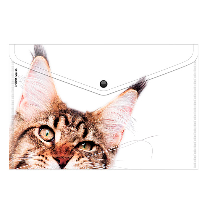 Папка-конверт на кнопке пластиковая Hiding Cats, A4, ассорти 