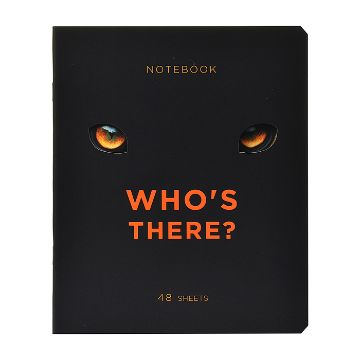 Тетрадь 48л. клетка, А5 "Кто это?" скрепка