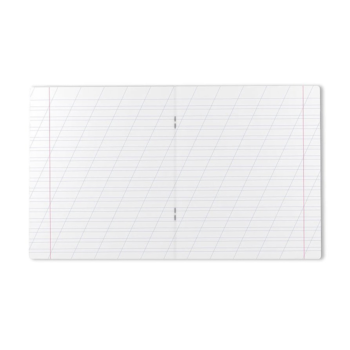 Тетрадь 12л., косая  линия, скрепка, офсет 60 гр