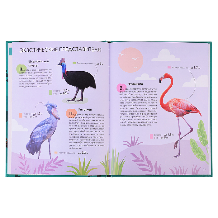 Детская энциклопедия. Животные