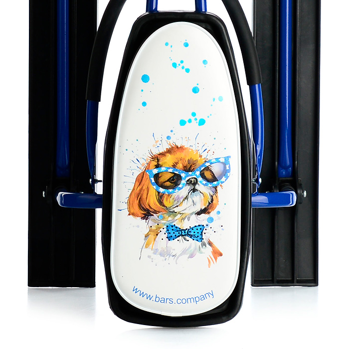 Фото к товару Игрушка Снегокат детский 218 "New Look" с высокой рамой и со спинкой (Тина) Игрушка Снегокат детский 218 "New Look" с высокой рамой и со спинкой (Тина)