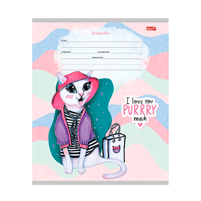 Тетрадь 12л. дополнительная косая линия "Котики в нарядах" 5 диз.в спайке