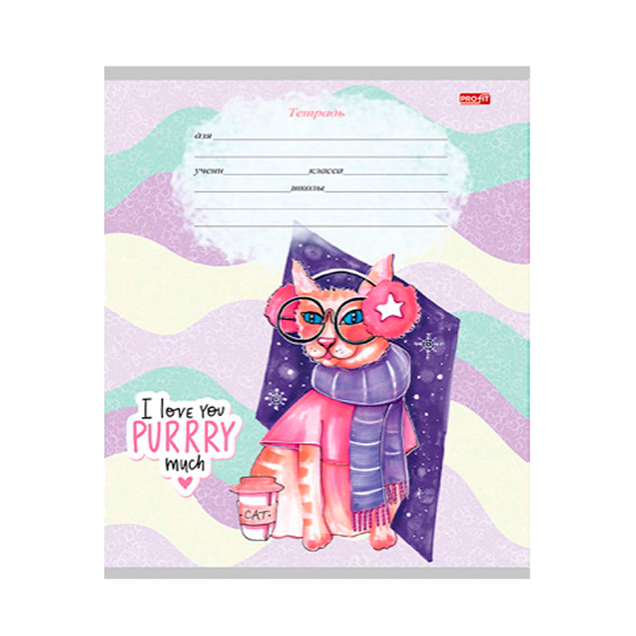 Тетрадь 12л. дополнительная косая линия "Котики в нарядах" 5 диз.в спайке