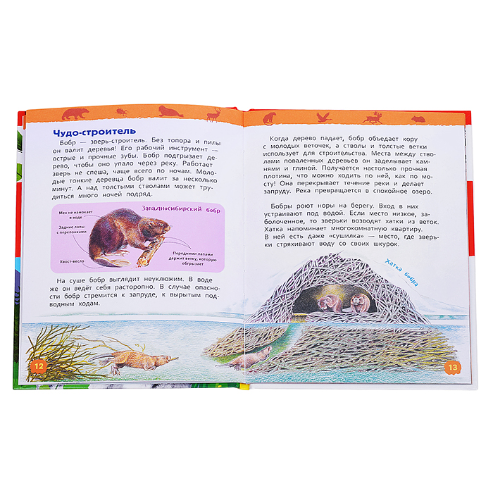 Красная книга России (Энциклопедия для детского сада)