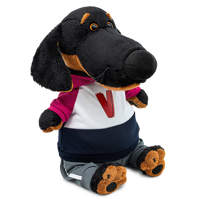 Собака Ваксон в костюме в стиле спорт-шик