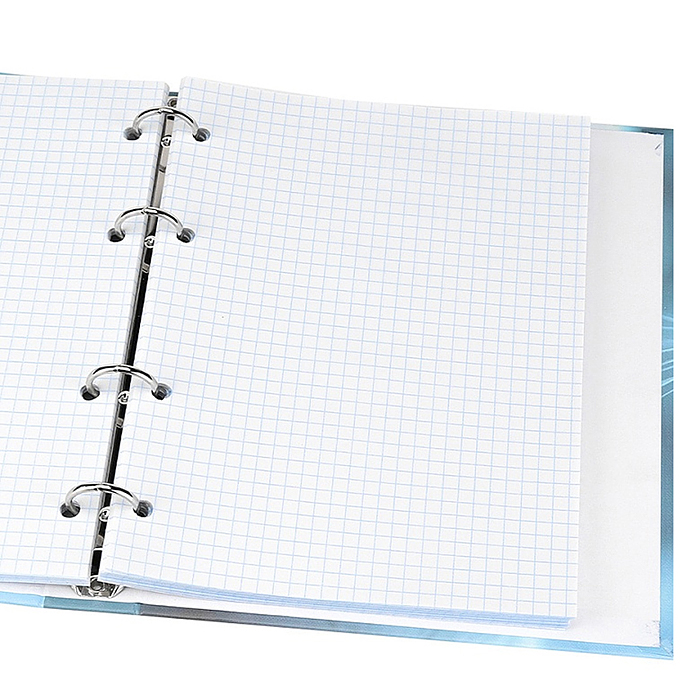 Тетрадь 80л. клетка "Голубоглазая кошка" на кольцах, глянцевая ламинац, лен