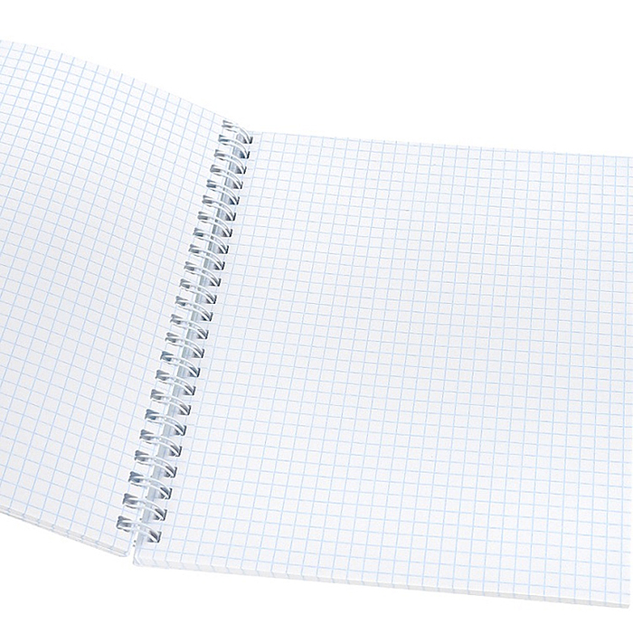 Тетрадь 48л. клетка "Забавные коты - 2" гребень, цвет. мелов. обл.