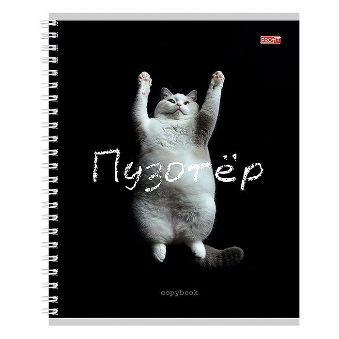 Тетрадь 48л. клетка "Забавные коты - 2" гребень, цвет. мелов. обл.