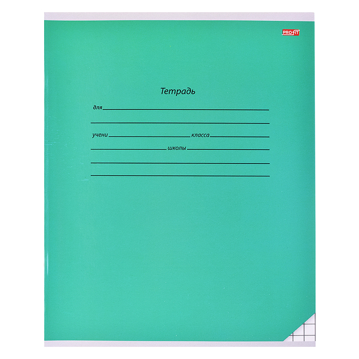 Тетрадь 12л. крупная клетка "Школьная классика" цвет. мелов. обл,5 диз. в коробке