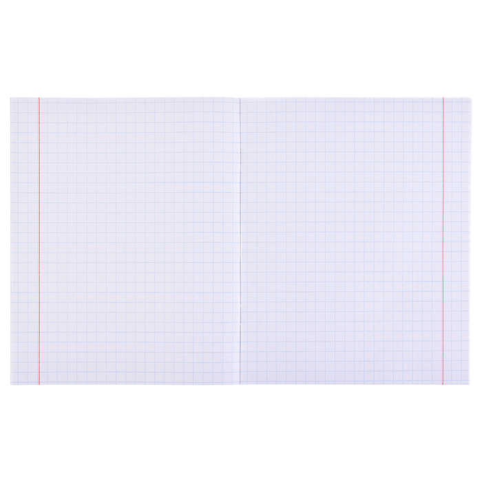 Тетрадь 12л. крупная клетка "Школьная классика" цвет. мелов. обл,5 диз. в коробке