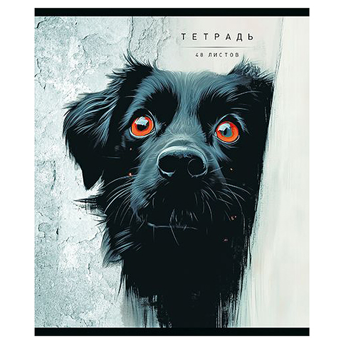 Тетрадь 48л. клетка А5 скрепка S "Кто тут?" Премиум 4+4+Матовая ламинация+УФ выб.20%+Конгрев