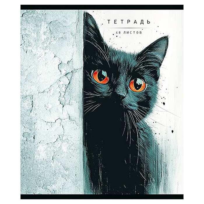 Тетрадь 48л. клетка А5 скрепка S "Кто тут?" Премиум 4+4+Матовая ламинация+УФ выб.20%+Конгрев