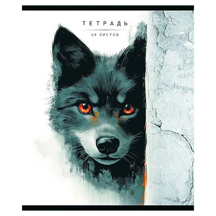 Тетрадь 48л. клетка А5 скрепка S "Кто тут?" Премиум 4+4+Матовая ламинация+УФ выб.20%+Конгрев