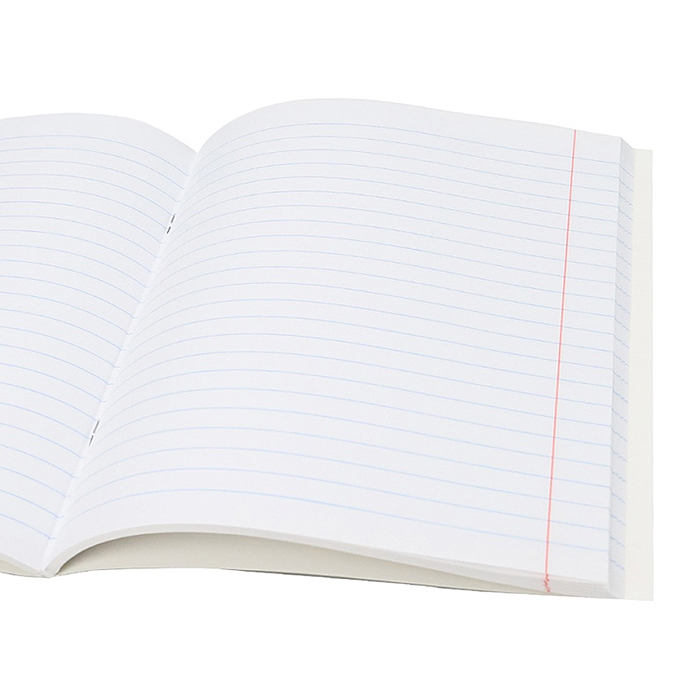 Тетрадь 48л. линия Литература "Магия предмета" стандарт, хол ф.,тв.л