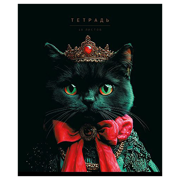 Тетрадь 48л. клетка А5 скрепка S "Я Король!" Премиум 4+0+Матовая ламинация+Выб.УФ-лак+Конгрев