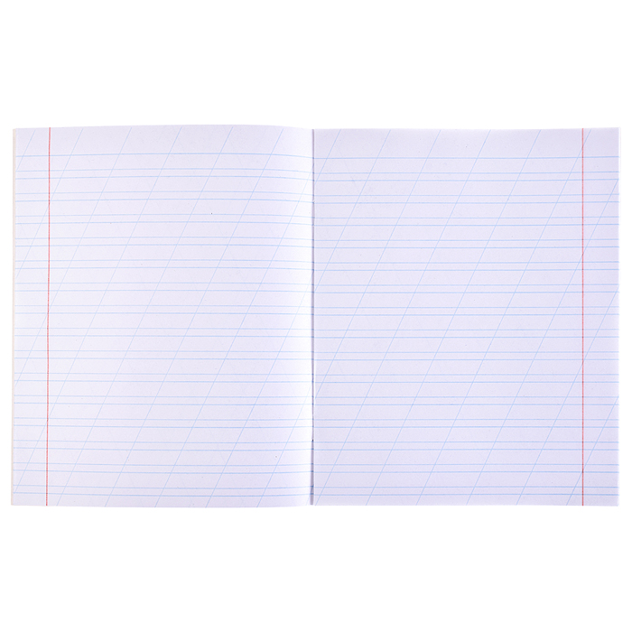 Тетрадь 12л. косая линия "Разные автомобили - 3" цвет.мелов.обл., 4 диз в кор