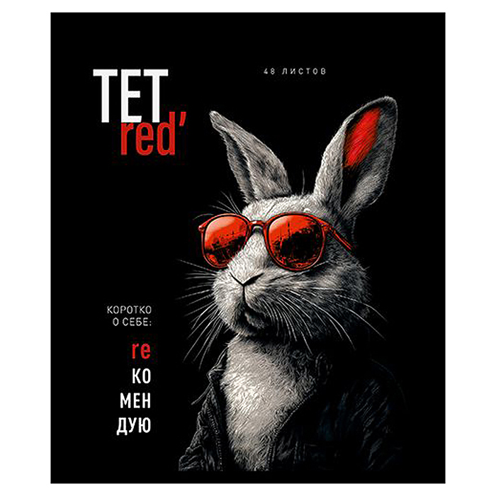 Тетрадь 48л. клетка А5 скрепка S "ТетРед" Премиум 4+4+Матовая ламинация+УФ выб.20%+Конгрев 