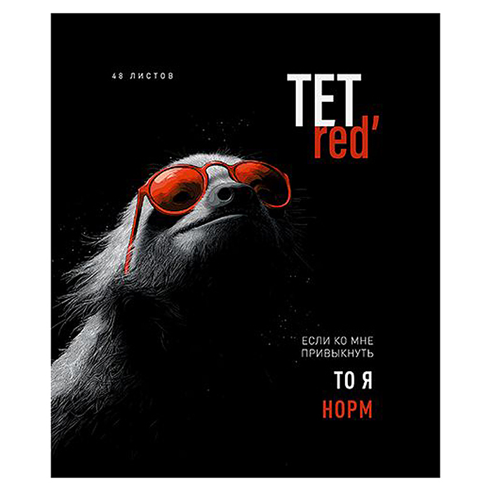 Тетрадь 48л. клетка А5 скрепка S "ТетРед" Премиум 4+4+Матовая ламинация+УФ выб.20%+Конгрев 