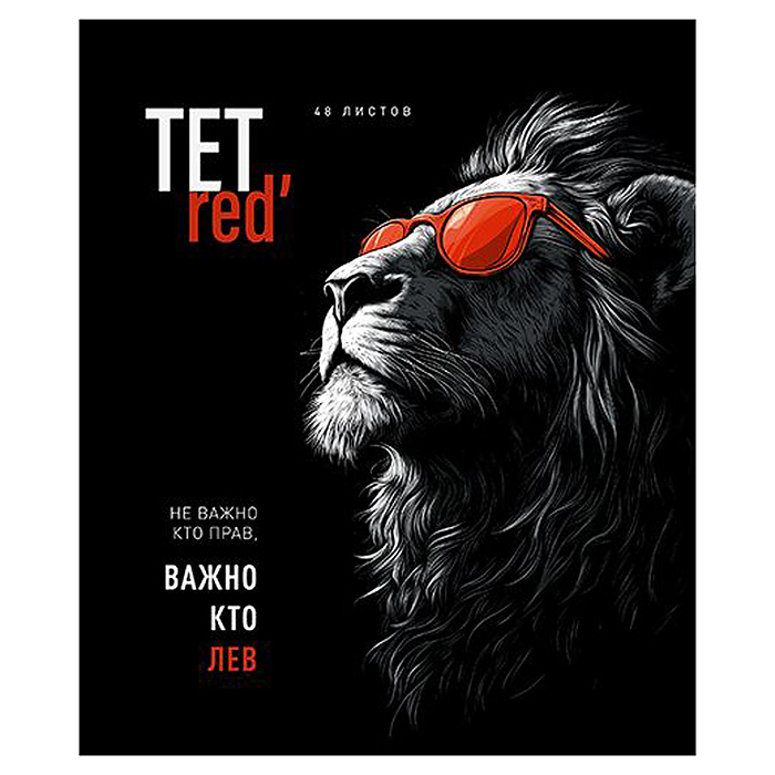 Тетрадь 48л. клетка А5 скрепка S "ТетРед" Премиум 4+4+Матовая ламинация+УФ выб.20%+Конгрев 