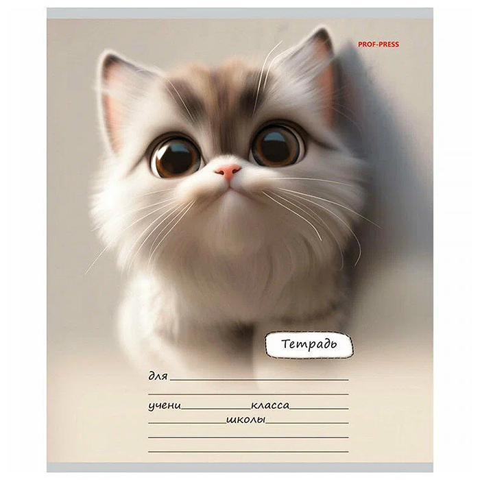 Тетрадь 18л. линия "Милый взгляд котенка" цвет.мелов.обл.,5 дизайнов в спайке