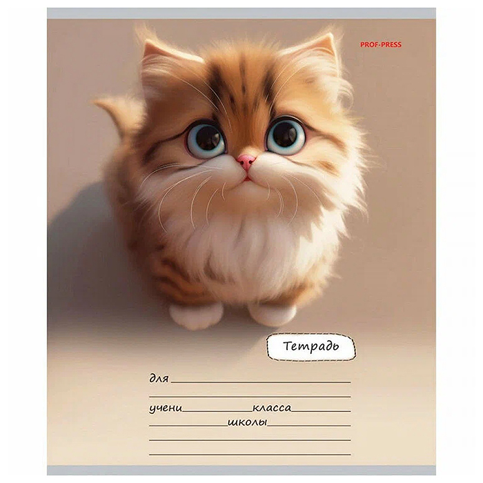 Тетрадь 18л. линия "Милый взгляд котенка" цвет.мелов.обл.,5 дизайнов в спайке