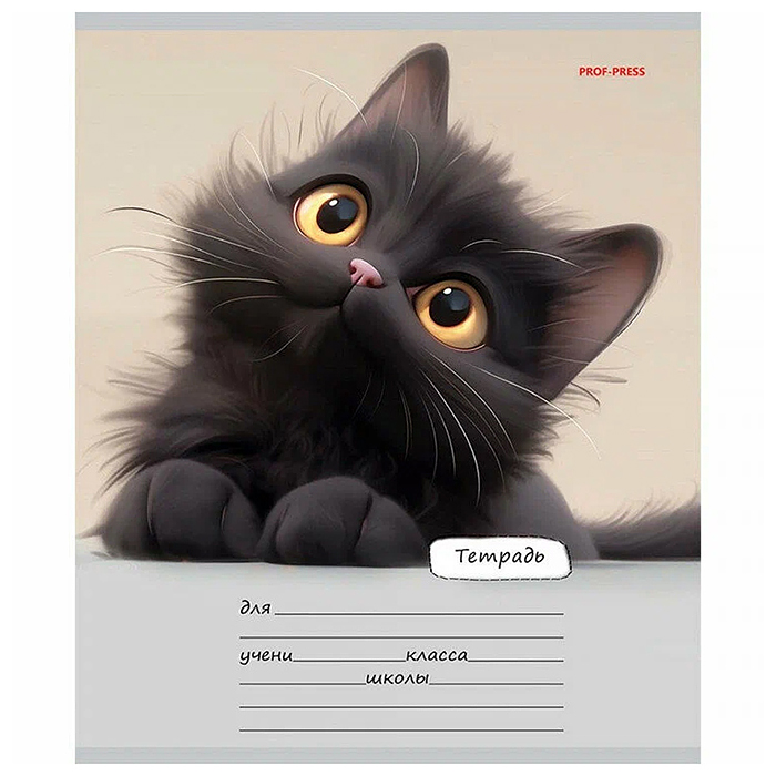 Тетрадь 18л. линия "Милый взгляд котенка" цвет.мелов.обл.,5 дизайнов в спайке