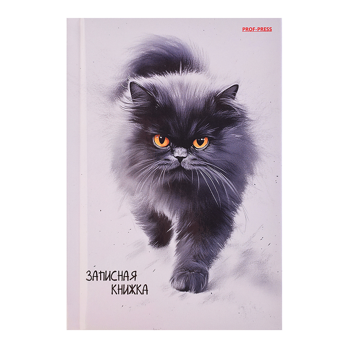 Записная книжка А6 96л. "Пушистый кот - 5" 7БЦ, глянц.ламинирование, цвет.мелов.обл.