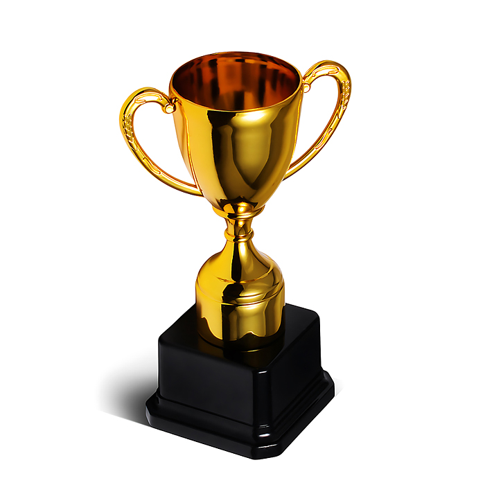 Кубок спортивный 00-6988 пластик (18 см)