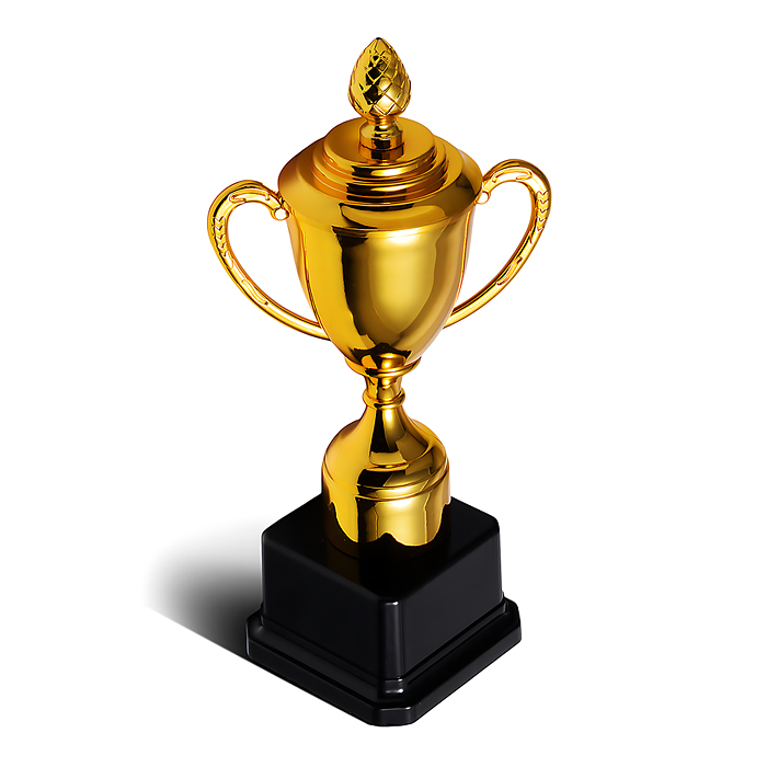 Кубок спортивный 00-6985 пластик (22 см)