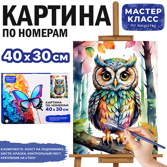 Набор для рисования MKR4030-11 "Картина по номерам 30х40 см. Цветная совушка" 