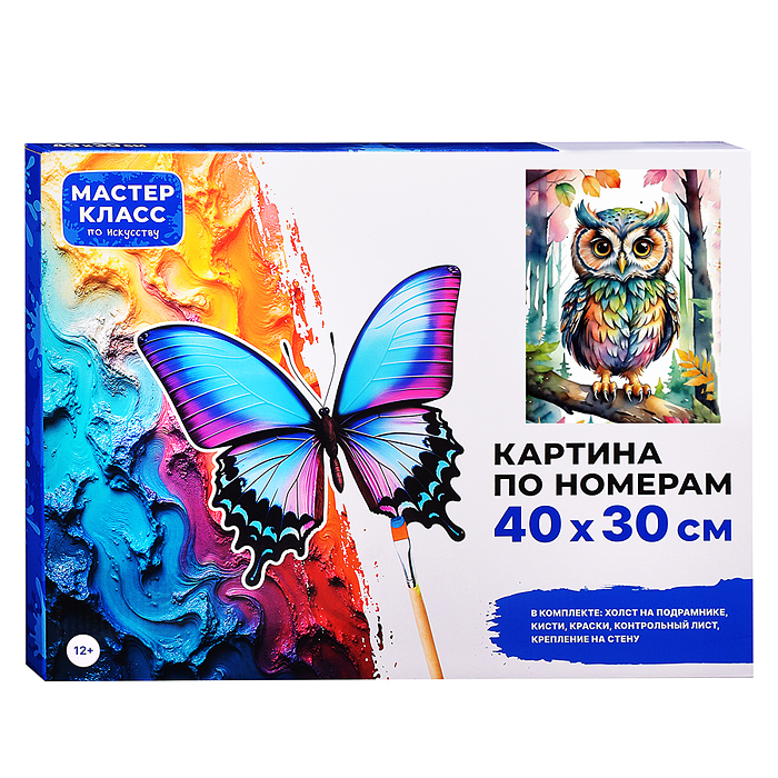 Набор для рисования MKR4030-11 "Картина по номерам 30х40 см. Цветная совушка" 