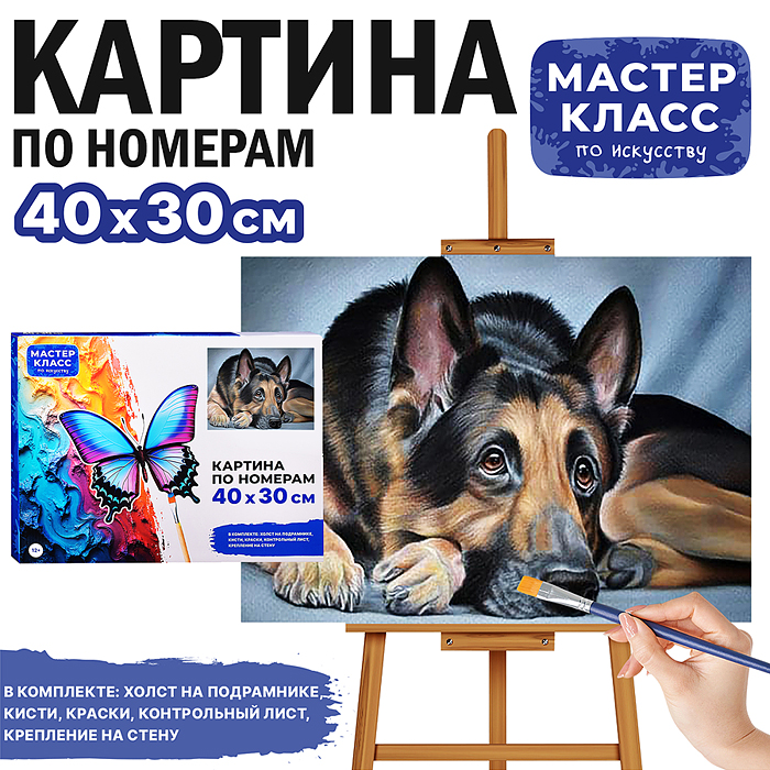 Набор для рисования MKR4030-31 "Картина по номерам 30х40 см. Овчарка" 
