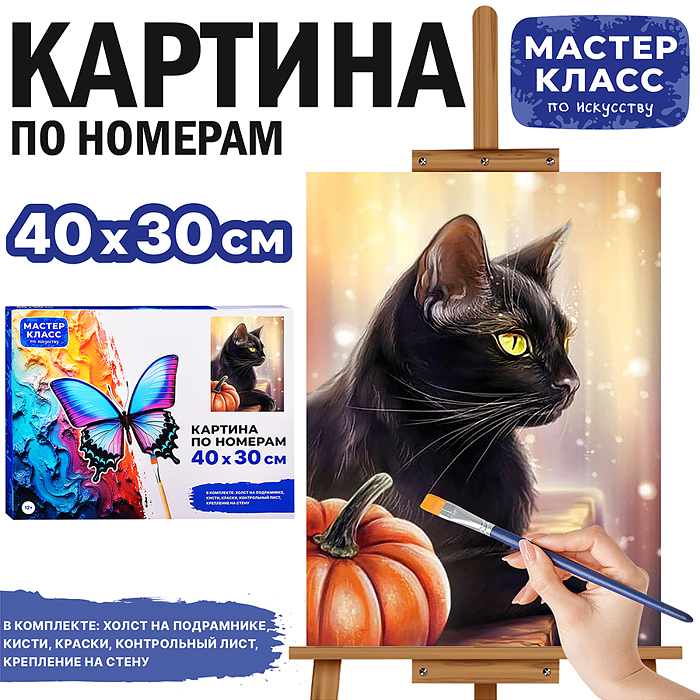 Набор для рисования MKR4030-46 "Картина по номерам 30х40 см. Чёрный кот"