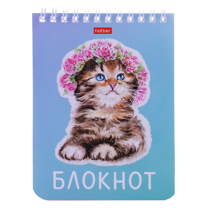Блокнот 40л А6 клетка "Котики бывают разными"