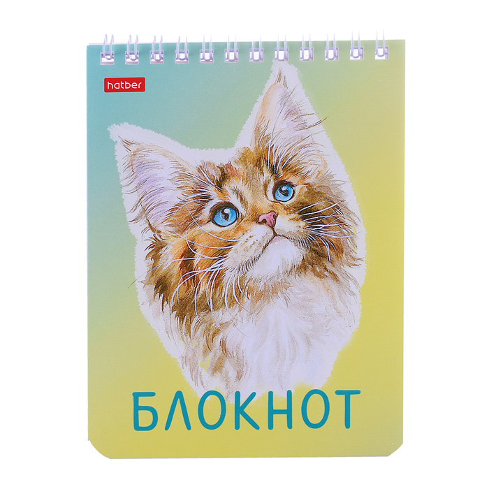 Блокнот 40л А6 клетка "Котики бывают разными"