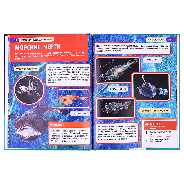 Фото к товару Чудовища подводного мира. Энциклопедия с развивающими заданиями. Чудовища подводного мира. Энциклопедия с развивающими заданиями.