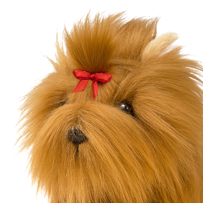 Йоркширский Терьер, 20 см