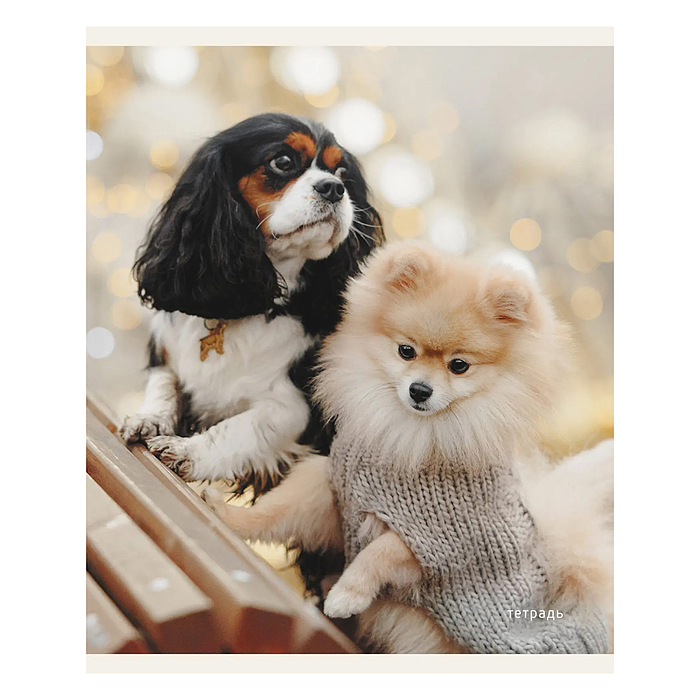 Тетрадь 96л. "Пушистые друзья" клетка, скрепка